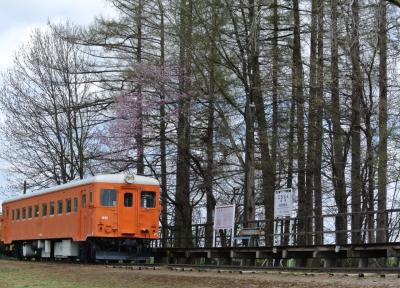 十勝・釧路・阿寒へ3泊4日の旅（最終日　懐かしの幸福駅と六花の森へ）