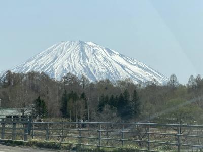 羊蹄山の麓★温泉と自然と道の駅