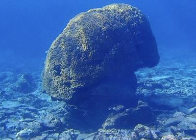 タイさんの沖縄の旅26日目(2021/10/30)座間味島26日目 大きなサンゴのあるユビナの浜
