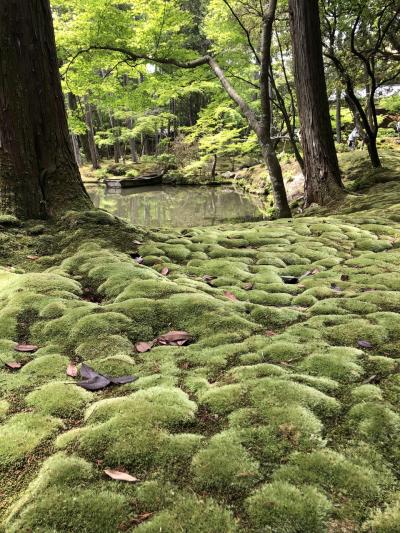 GWに「ふらっとカンサイ」（苔寺～嵯峨野トロッコ列車編）