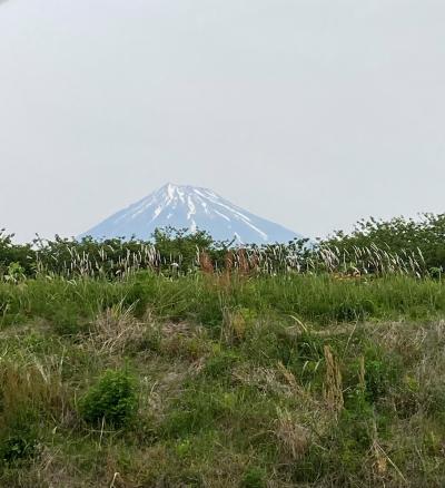 富士滞在　５月