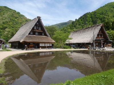 陽春のとやま旅（チューリップフェアと新緑が眩しい五箇山へ）