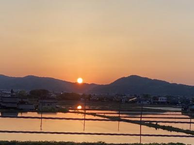 ゴールデンウィーク3年ぶりの北陸だ！～(3)富山県城端の曳山宵祭りを観て、富山市の銀八鮨へ。