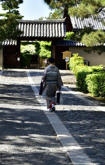 千利休 歴史探訪、大徳寺 搭頭 聚光院の特別拝観とお茶席及び興臨院の拝観と国宝指定の妙喜庵 待庵へ