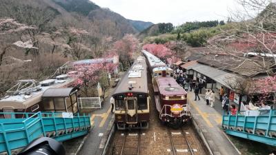 群馬・2022年春＜神戸(ごうど)駅で梅？桃？とトロッコ電車を見る＞