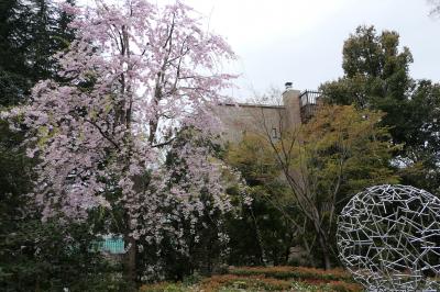 春のザ・プリンスギャラリー東京紀尾井町♪　Vol.25 ☆優雅な散歩　光の庭と千代田区立清水谷公園♪