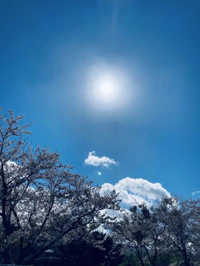 焚き火でバウムクーヘン！黒松内ぶなの森自然学校さんのデイキャンプに参加して泊まる！