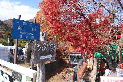 秋の紅葉めぐり　河口湖もみじ回廊と富士山