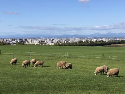 羊ヶ丘展望台と札幌ドームを見学