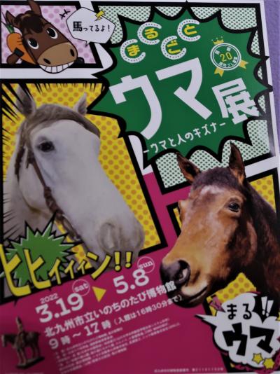 北九州12　八幡-2　いのちのたび博物館a　馬/ウマｰ特別展　☆人馬一体！ウマと人のキズナ