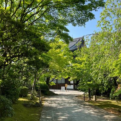 【2022/5/1　新緑の京都】京セラ美術館でポンペイ展と兵馬俑展を見た後、将軍塚へ