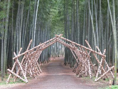 栃木・宇都宮