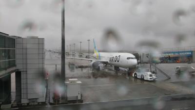 雨の日に、AIR DOに乗って北海道へ帰省☆