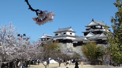 シニアがレンタカーで行く四国一周の旅　　　四日目　ついに来たぞ松山城！