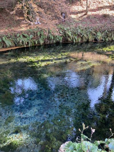 ドラクエウォークおみやげ　熊本編　Day3/3　白川水源　＋後泊ホリデイイン&スイーツ新大阪