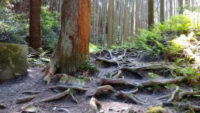 柳生の里【1】柳生家ゆかりの地を歩く