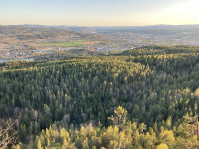 7・9歳児連れ、2年半ぶりのノルウェー帰省：ノルウェー前編