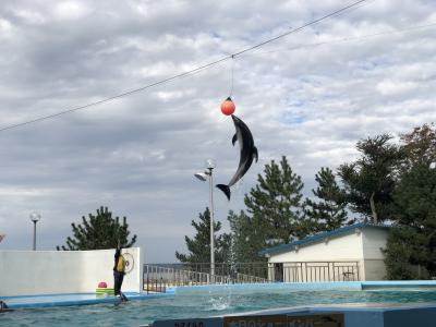 2020年11月　Go To トラベルで行く石川旅行　その３、水族館での戯れ