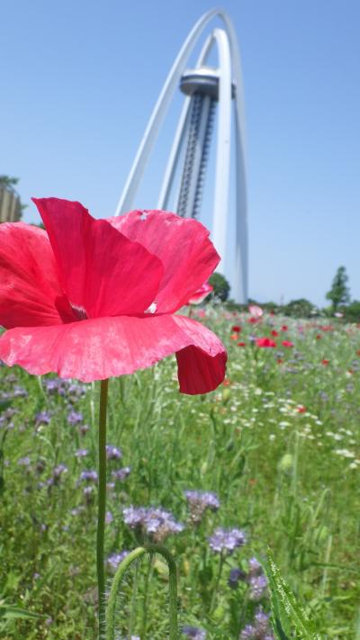 木曾三川公園138タワーパークと東海市の公園