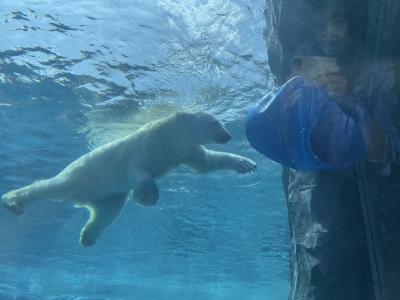 22’5月♪1歳子連れde日帰り円山動物園へ☆