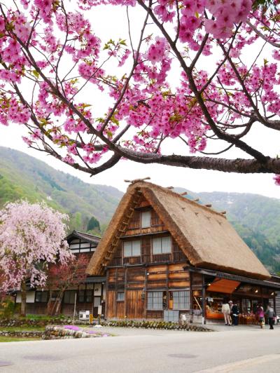 春の飛騨高山・白川郷を2泊3日でのんびりと-2022.4-