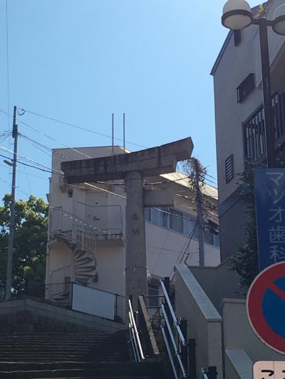 春旅 長崎3泊4日の旅 その4 卓袱料理~被爆クスノキ