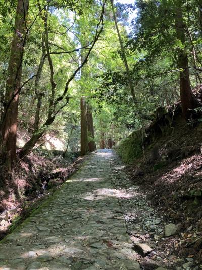 滝坂の道ー若草山ー二月堂