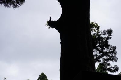 鹿児島 '22/05 No1 二泊旅