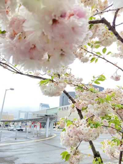 【北海道】函館はわたしの聖地♡YUKIちゃんとゴールデンカムイをなぞる旅