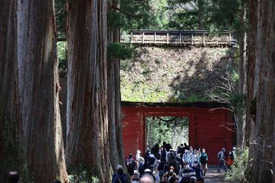 ブララブコー「ゴールデンウィーク 成りゆき長野旅③～パワースポット戸隠神社奥社と戸隠そば～」