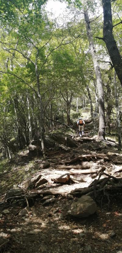 【間違いだらけの夏登山】鍋割(なべわり)山から学ぶ