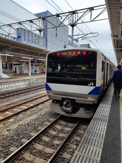 【関東周遊・鉄道とバスの旅】仕事の移動も旅行記に変える！普通車グリーンも！
