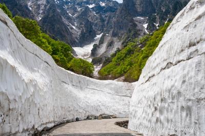 新緑の奥利根で秘湯の露天風呂を楽しむ