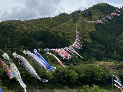 初高知旅行３泊４日【１】四万十川、道の駅巡り、岩間沈下橋、等