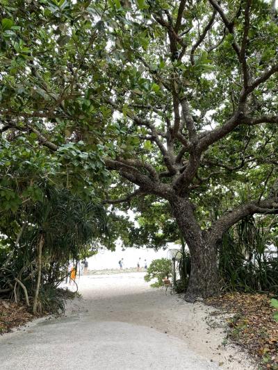 はじめてマイルを使ってはじめてエアビー利用のはじめての石垣島ではじめての荒天旅①