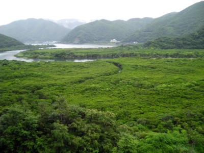 梅雨入り前の奄美大島