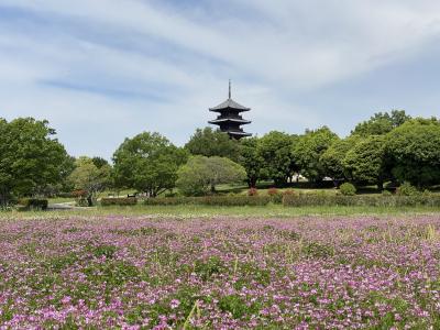 岡山の旅