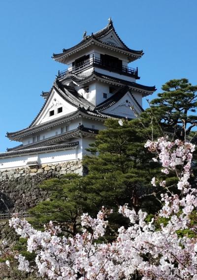 シニアがレンタカーで行く四国一周の旅　　　五日目　もう終わりなの？