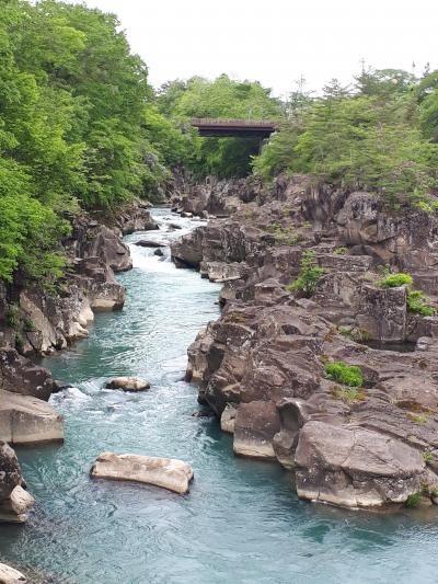 久しぶりの旅行再開は岩手から！～１日目