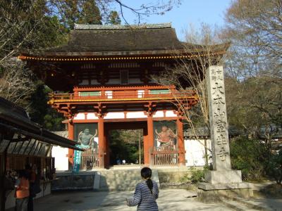 鬱蒼とした山あいに建つ室生寺