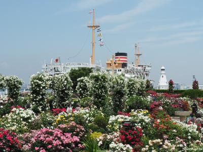 ガーデンネックレス横浜 2022の最後を飾るローズウィーク