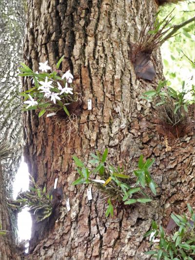 爽やかに風かおる明石公園