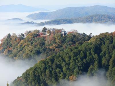 雲海に浮かぶ、幻想の備中松山城