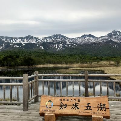【2022年北海道】24時間で斜里&知床2/2 知床五湖編