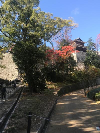 40代夫婦2泊３日2人旅。高級宿で評判の八千代と大和屋本店に泊まるちょっとリッチな旅。その4