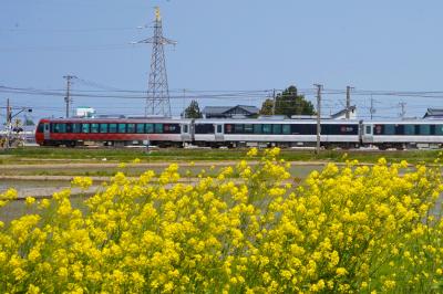 GW新潟旅【2日目：海里とアルビレックス新潟】