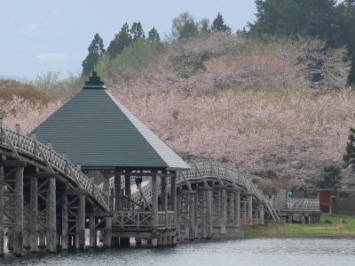 チャリと行く春の花旅東日本 2022 /５日目(4/26)前編