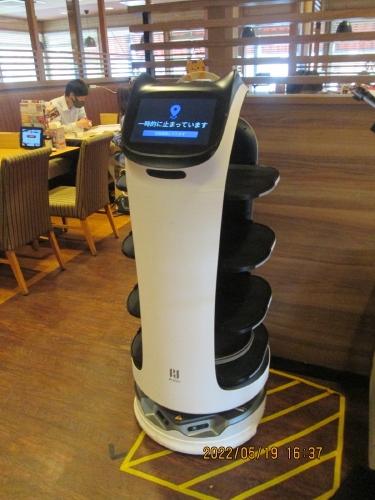 流山市の南流山・ガスト・配膳ロボット