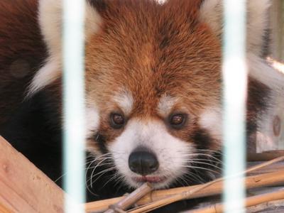 【日立市かみね動物園　2019/9/27】