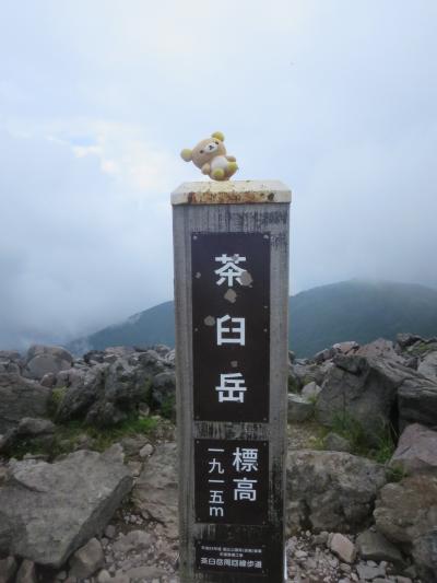茶臼岳に登るクマ